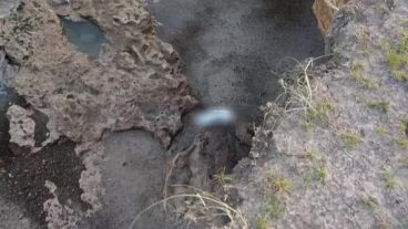 El hombre cayó de unos 10 metros y sufrió traumatismo de cráneo y varias fracturas.