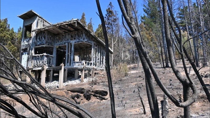 La ladera de un cerro, uno de los sectores más devastados por las llamas.