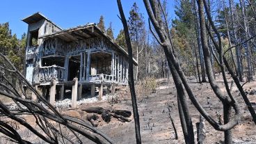 La ladera de un cerro, uno de los sectores más devastados por las llamas.
