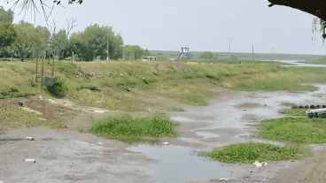 Los riachos en el acceso a Victoria, cerca de la toma de agua de la ciudad.