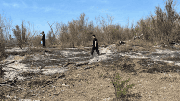 Las pericias de los bomberos determinaron que el fuego se originó en el centro de la isla de forma intencional.