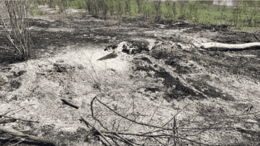 Las pericias de los bomberos determinaron que el fuego se originó en el centro de la isla de forma intencional.