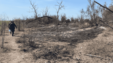 Las pericias de los bomberos determinaron que el fuego se originó en el centro de la isla de forma intencional.