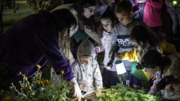 Las actividades de Nochecitas en Embarcaderos se extienden hasta el 24 febrero.