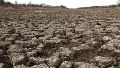 Después de la sequía: el nuevo riesgo para los suelos si llegan lluvias abundantes