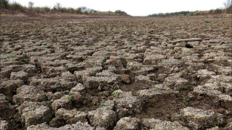 Tras una larga sequía, el suelo queda dañado y con menos capacidad de absorción si llegan lluvias intensas.