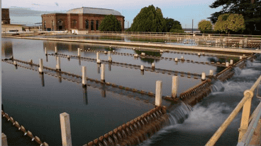 Estiman que el servicio comenzará a recuperar sus niveles habituales a partir de las 20.30 del viernes.