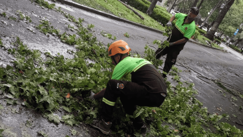 Personal municipal trabaja en distintas zonas de la ciudad.