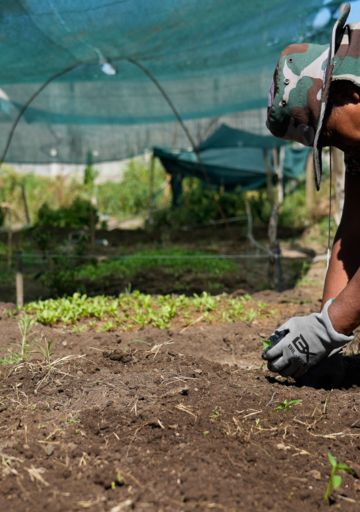 De la seca a la tormenta: cómo es la batalla de los huerteros de Rosario ante el cambio climático