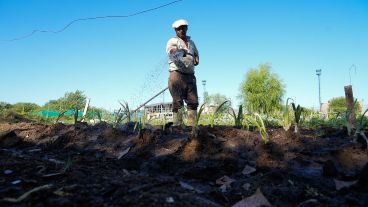El predio tiene una bomba y un tanque de agua y cada parcela, una canilla.