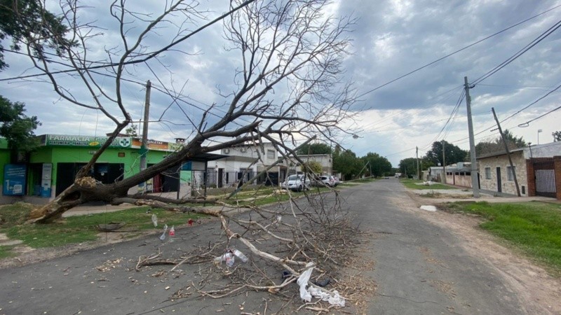 Una postal de Matheu al 2800: el árbol caído y los postes de luz al borde del suelo.