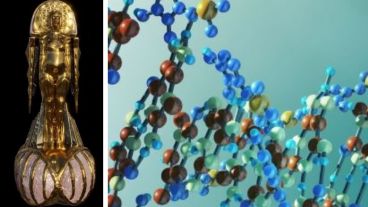 Las personas interesadas pueden pagar para cargar el ADN de su elección.