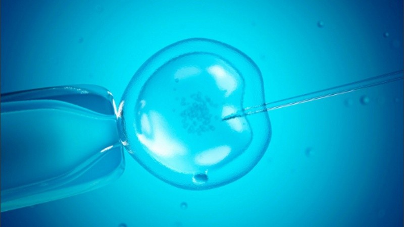 La pareja se había hecho un tratamiento de fertilización in vitro, pero como no habían recurrido a donación de óvulos ni de espermatozoides, el embrión debía tener material genético únicamente de ellos. 