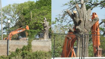 El trabajo de las máquinas y los escombros que ganan espacio al río: parte de la denuncia.