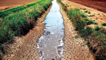 Con el agua regresan las esperanzas para el campo.
