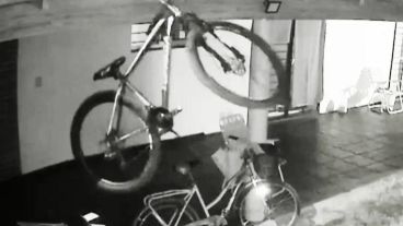 Las imágenes de la peculiar técnica usada para el robo se hicieron virales.