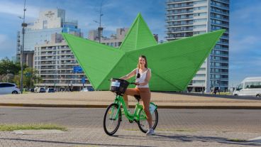 El sistema cuenta con 105 mil usuarios y más de 80 estaciones.