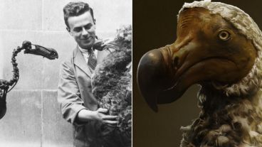 El proyecto ya cuenta con 150 millones de dólares en asignaciones.