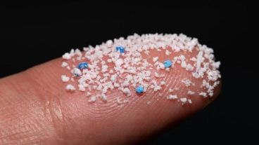 El equipo encontró 15 partículas microplásticas por gramo de tejido venoso humano.