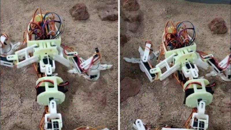 Chen y sus colegas crearon el prototipo de su robot utilizando materiales de resina.