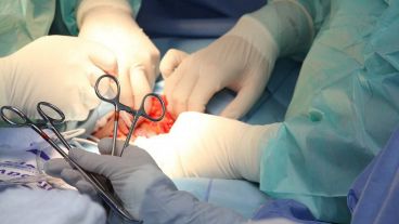 La iniciativa también buscaría integrar seriamente la actividad a clínicas y sanatorios.