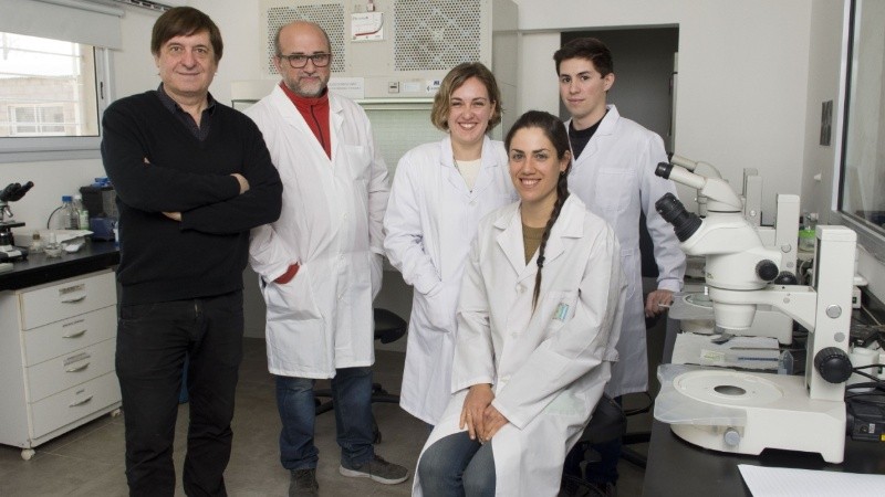 El equipo de investigadores de New Organs Biotech.
