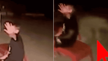 Desde que la espeluznante imagen fue compartida se volvió viral.