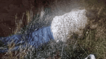 El delincuente había aprovechado las inclemencias del tiempo para huir.