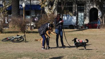 La jornada de sábado sería de las más frías en lo que va de año.