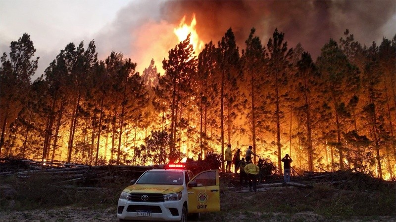 El viernes 17 se desató un importante incendio forestal gran intensidad en zona de Villa Olivari, Corrientes.