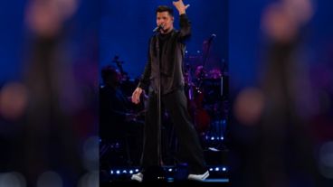 El cantante Ricky Martin.