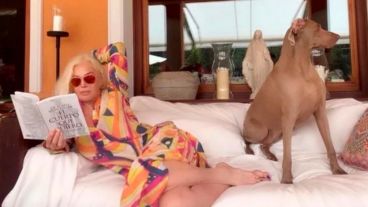 "Desde la muerte de Jazmín (su anterior mascota), no se había puesto tan triste por la partida de una mascota".