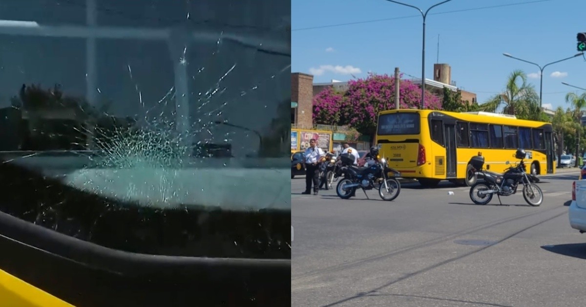 Una mujer fue embestida por un colectivo cuando cruzaba la calle y ...