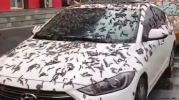 La "luna llena del gusano" sucede previo a la llegada de la primavera y a la primera superluna del año.