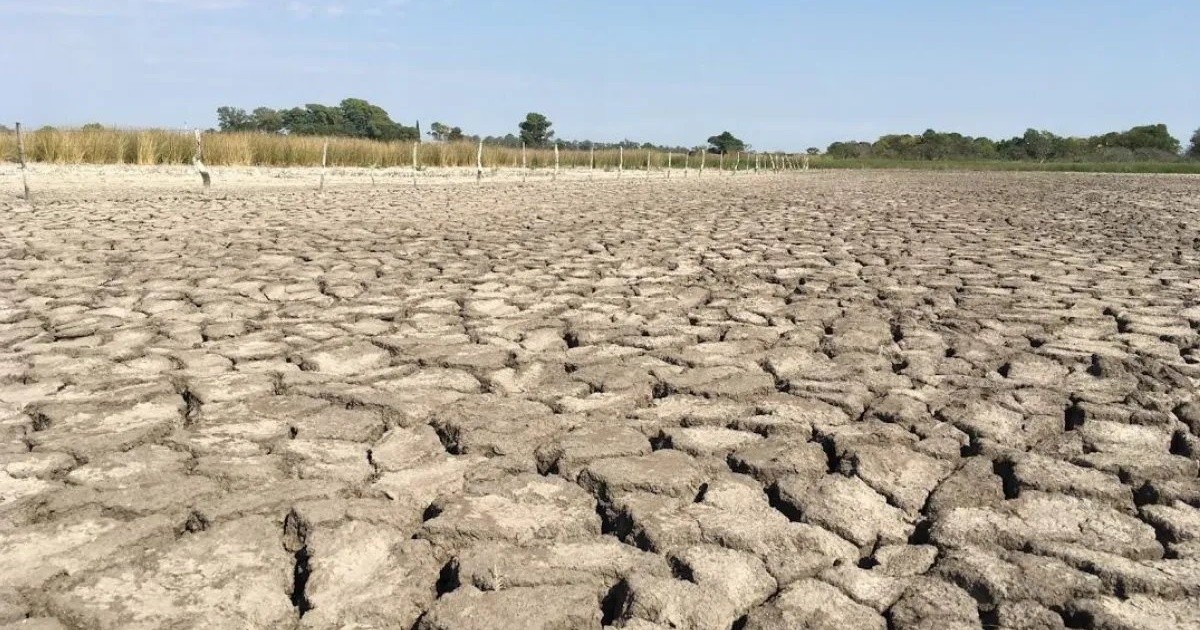 How long will the heat and drought last in Rosario: warm oceans and La Nina until April