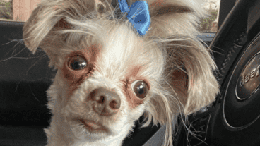 La mayoría de los espectadores lo encontraron divertido y comentaron el posteo.