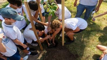 Plantación participativa que el Municipio realizó junto a alumnas y alumnos de 6to. grado de la Escuela Madre Cabrini
