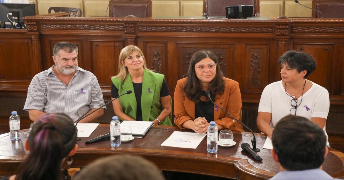 Se presentó la capacitación en ley Micaela en el Senado | Rosario3
