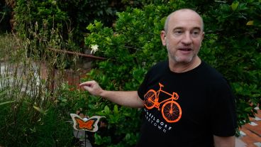 “Volvieron las mariposas monarca al club Alemán”, anunció el presidente de la mítica institución, Federico Luchtenberg.