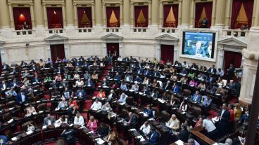 La Cámara Baja dio media sanción al proyecto que ahora pasará al Senado.
