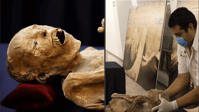 Se trata de una selección de momias exibidas en México.