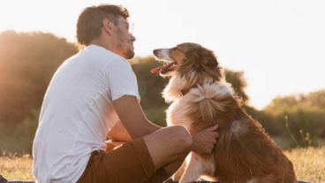 Pet friendly, como indica su nombre, el concepto refiere a todo aquello que sea “amigable con las mascotas”, desde un bar hasta una playa, transporte u hospedaje.