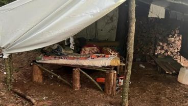 Les habían prometido pagarle al final de su labor y todos trabajaban en el corte de eucaliptos.