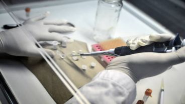 "En los Congresos y capacitaciones se replica la misma desigualdad. Los lideres de opiniones y que escriben los principales trabajos son del género masculino.".