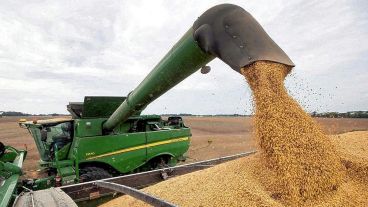 El complejo sojero podrá acceder al "dólar agro" durante 45 días.