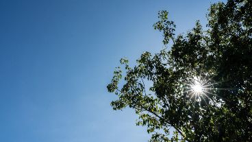El sol asoma y promete una jornada por demás de agradable.