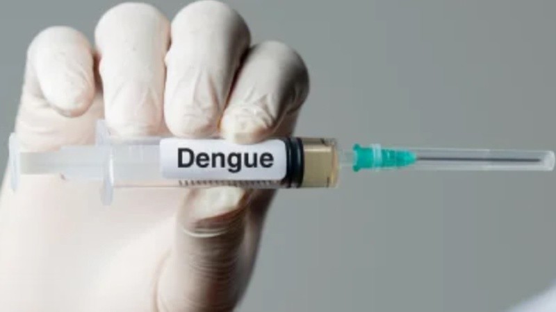 El dengue generó un nuevo brote en Argentina.