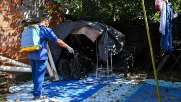 Eliminar el mosquito es clave para frenar la enfermedad.