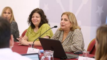 La ministra contó también que buscan la forma de hacer más rentable la especialidad.