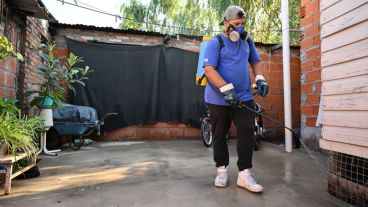 La Municipalidad realiza tareas de prevención de dengue.